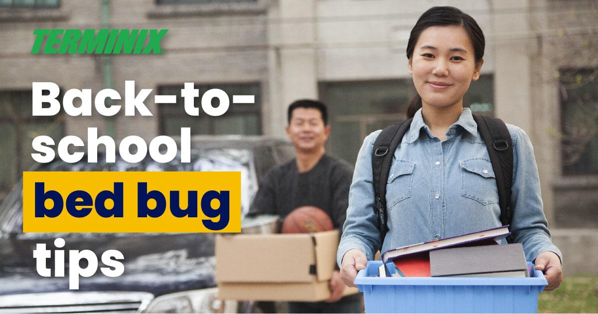back to school bed bug tips