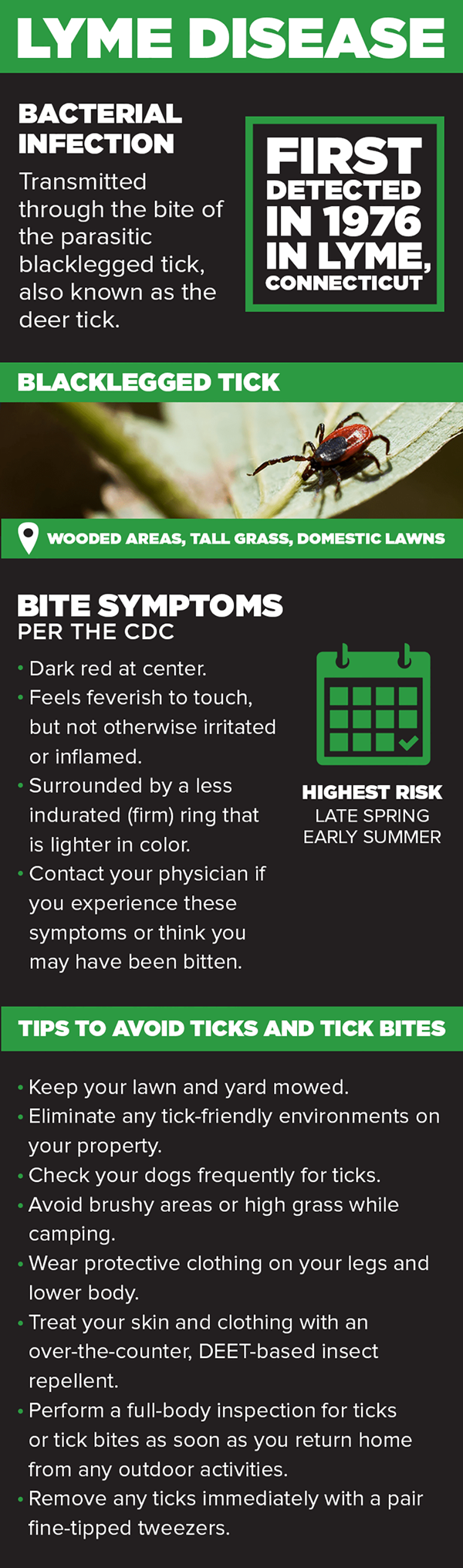lyme disease