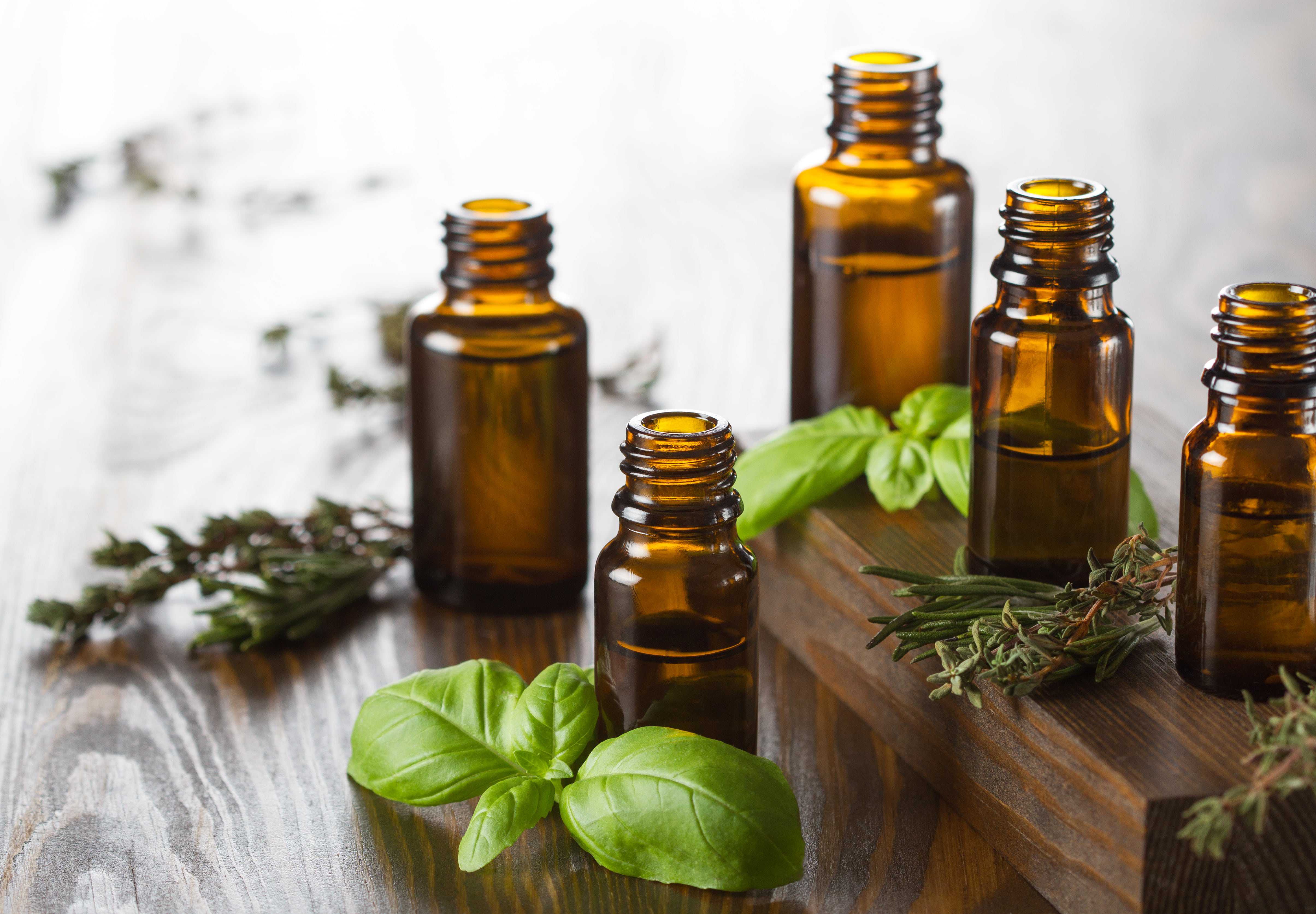 bed bug repellent materials