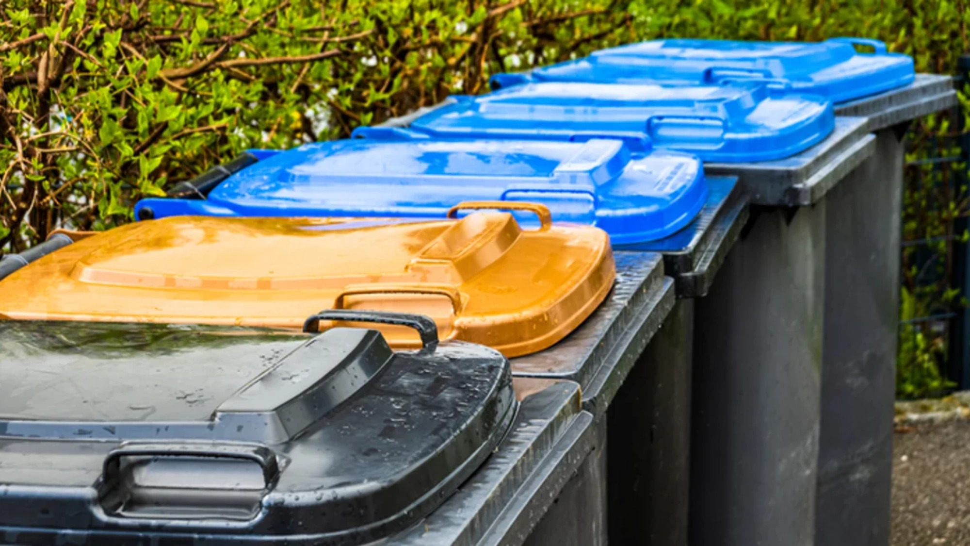 Row of trash bins