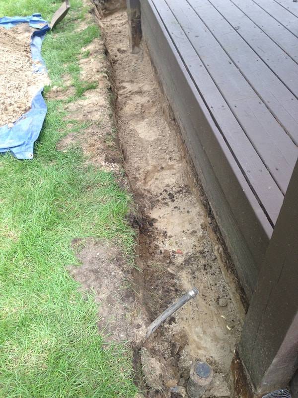 skunk den
