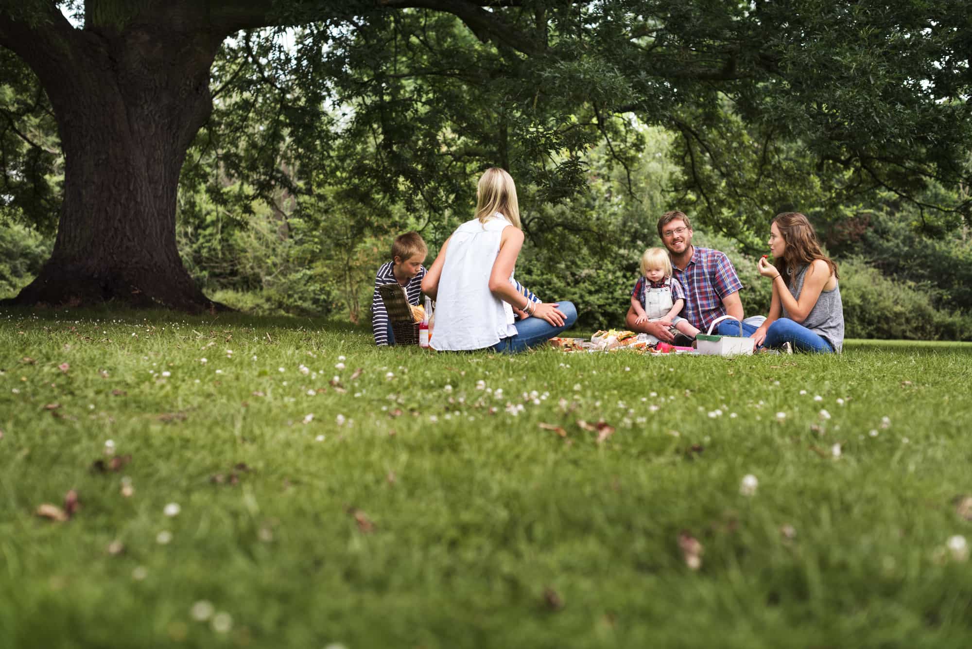 family-picnic