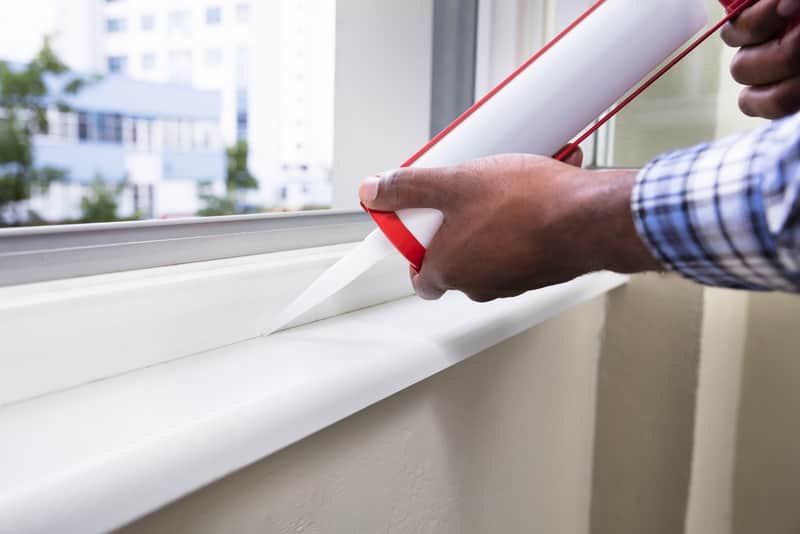 how-to-keep-ants-away-from-house