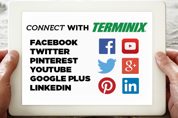 follow Terminix on social