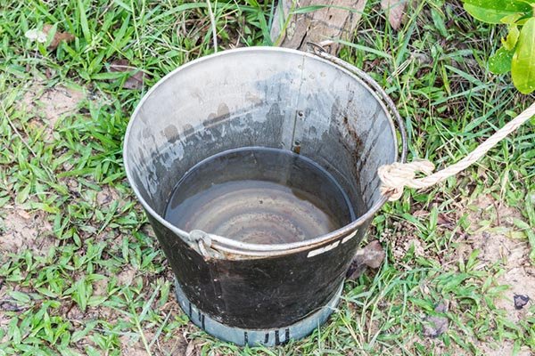 stagnant water