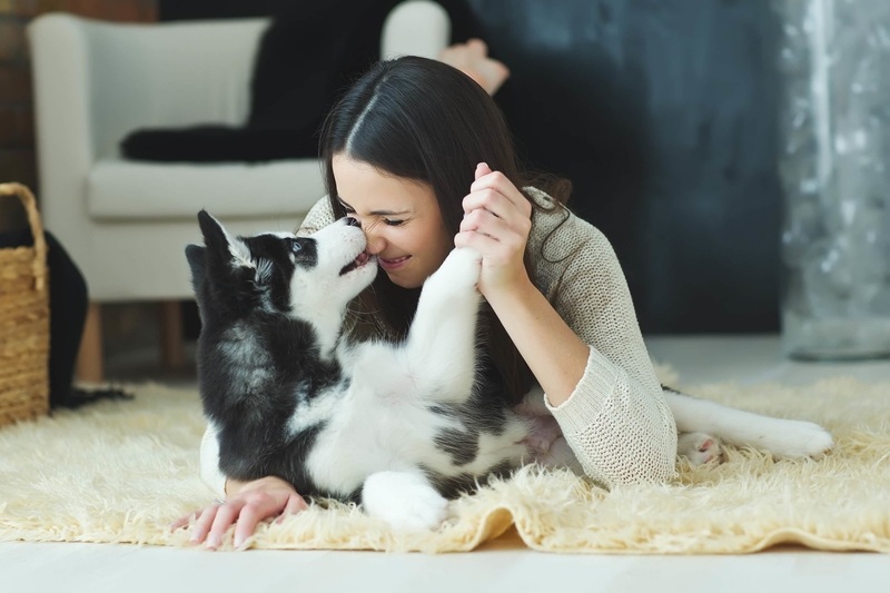 pets-rodents-public-health