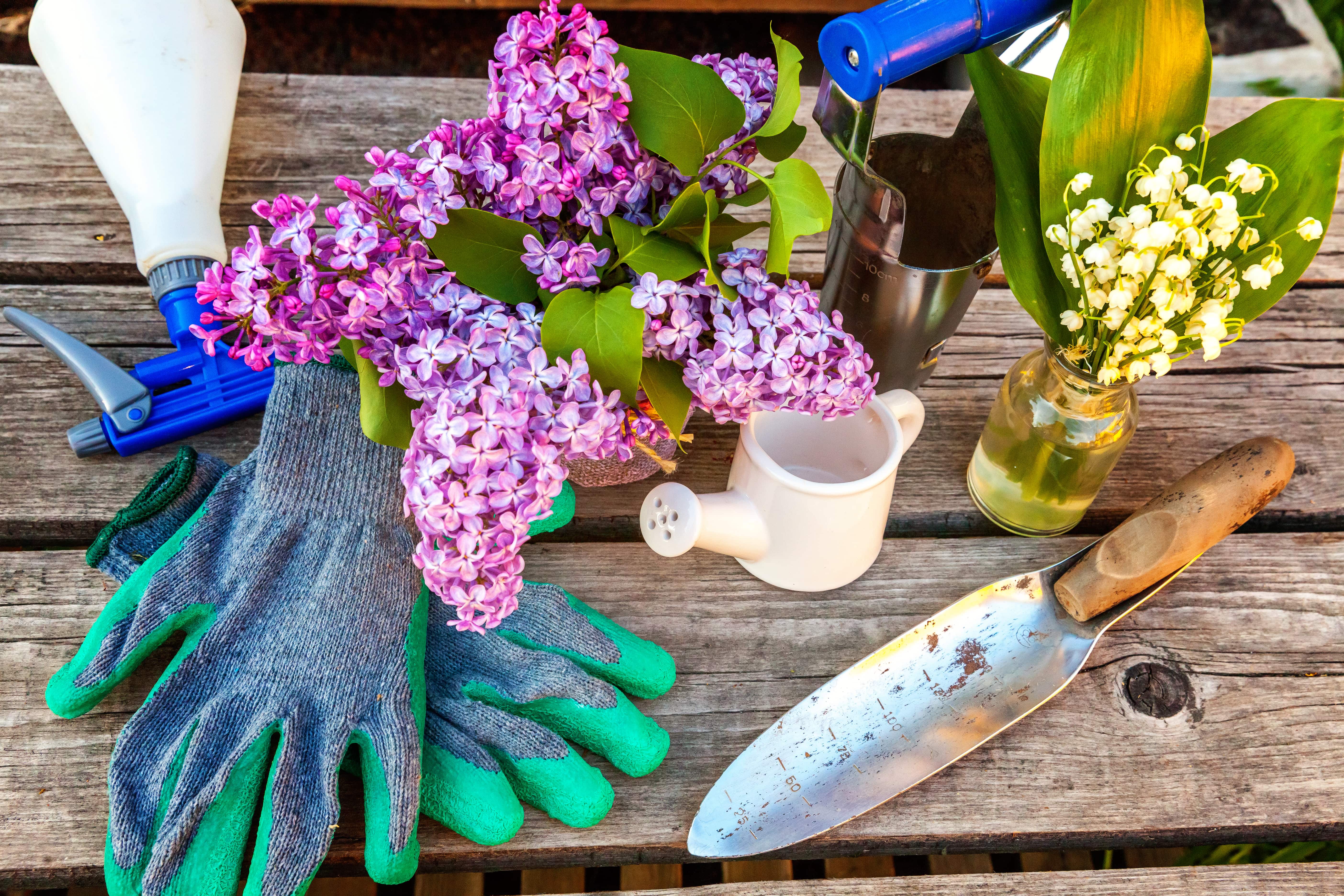 plants that repel squirrels
