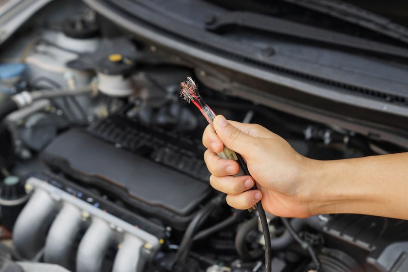 rodent-damage-to-car-wiring