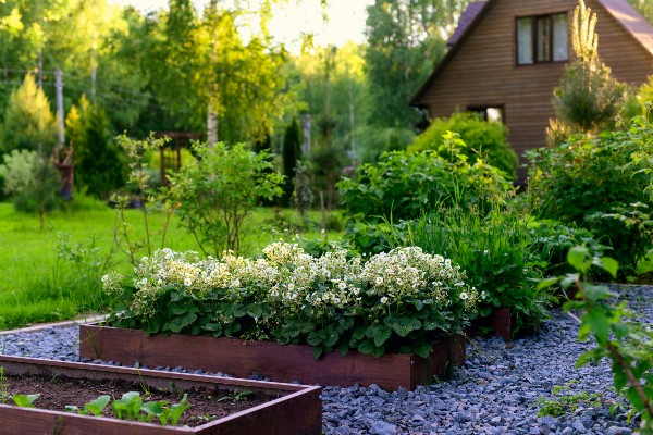 Home and garden