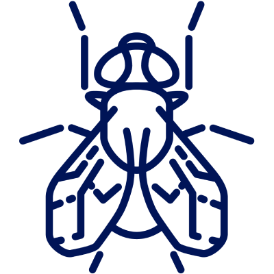 icon of fly