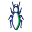 Termite