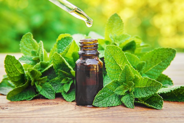 peppermint oil and leaves 