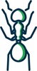 ant