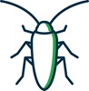 cockroach