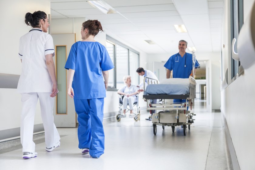Terminix healthcare pest control