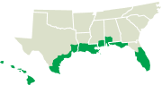 Termite hotspot illustration