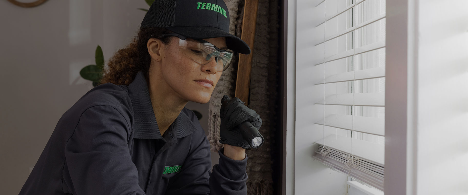 pest control inspection 
