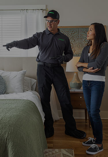 bed bug control